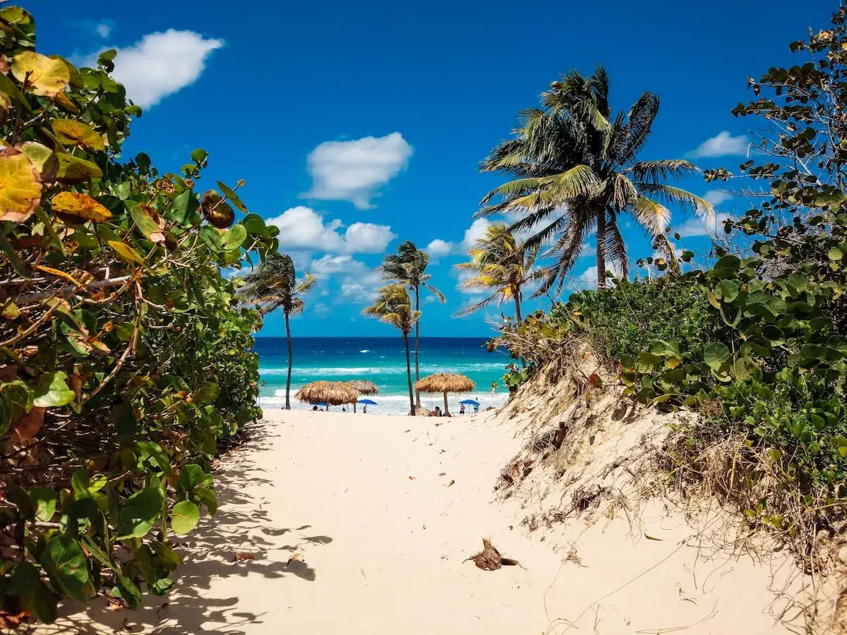 Caribbean beach in Jamaica
